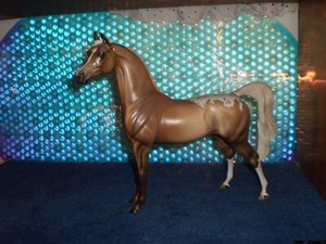 Peter Stone Palomino Blanket Appaloosa with blue eyes super Beautiful