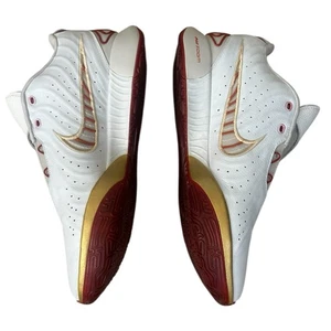 Nike LeBron 21 Akoya FV2345-001 weiß rot Herren Basketballschuhe Größe 15 " - Bild 1 von 14