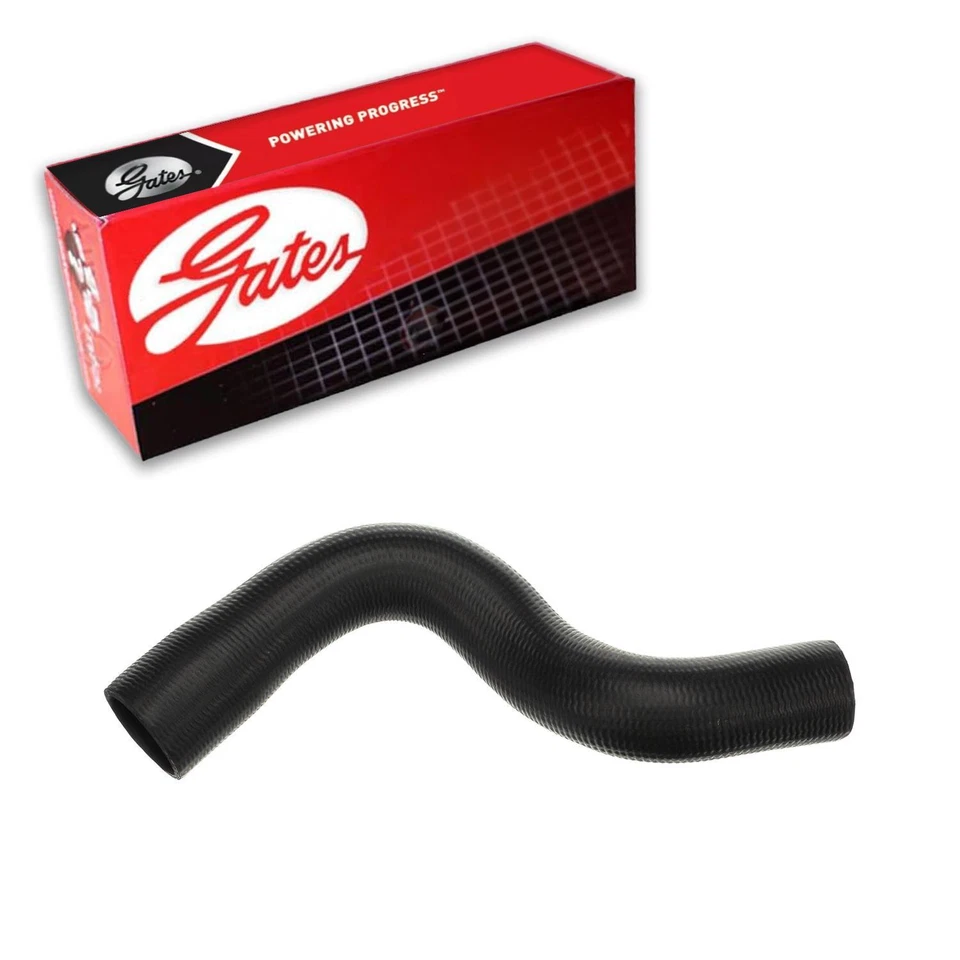 Mangueira inferior do líquido de arrefecimento do radiador Gates para 2001-2004 Jeep Grand Cherokee 4.7L V8 GAS - Imagem 1 de 3