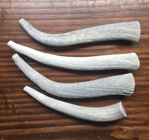 SALE!! 1 Pound Bargain Bone Elk Antler Dog Chews-M/L Dogs-Free Shipping - Picture 1 of 5