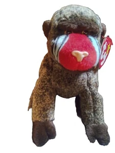 Ty Beanie Baby Cheeks  DOB May 18, 1999 - Picture 1 of 6