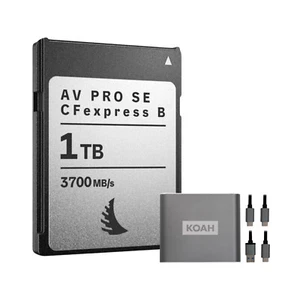 Angelbird AV PRO SE High-Speed Memory Card (2-Pack) Bundle with Reader (3 Items) - Picture 1 of 9