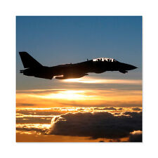 US Navy F14D Tomcat Fighter Jet Silhouette Wall Art Canvas Print 24X24 In