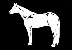 Quarter Horse Decal equestrian trailer vinyl car truck window sticker graphic - Picture 1 of 2