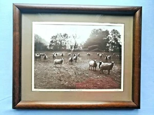 PHOTO DE ROBERT GERNOT "AU PETIT MATIN" XXème BRETAGNE - Picture 1 of 6