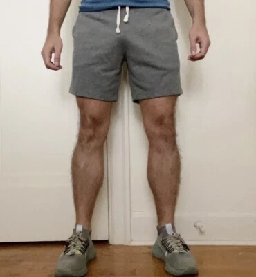 Chubbies 7” The Schwort French Terry Sweat Shorts Gray Small - Изображение 1 из 4
