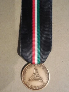 medaglia al merito della protezione Civile Nazionale bronzo - Picture 1 of 2