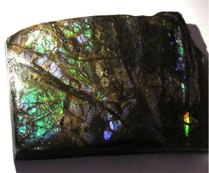 Piedra preciosa cruda roca mineral tierra áspera ammolita multi flash natural 482,90 quilates F21 - Imagen 1 de 6