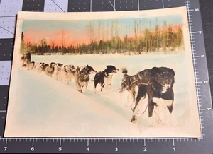 1940s Alaskan Sled Dog Alaska Man SIBERIAN HUSKY Vintage 5x7 COLOR Tinted PHOTO - Picture 1 of 4