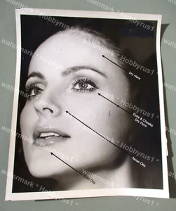 Beautiful Fashion Model Cosmetics 1974 Original Press Photo - Picture 1 of 2