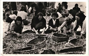 CPA Carte Postale Portugal Furadouro Praia do Furadouro Lota da Sardinha 1959 VM - Picture 1 of 2