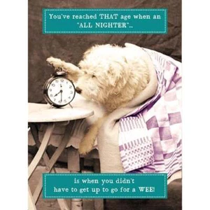 Geburtstagskarte Pigment Tier Possen - All Nighter AA176A - Bild 1 von 1