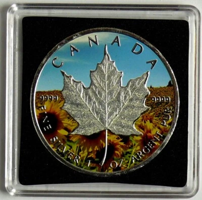 Kanada 5 Dollars 2013 Maple Leaf, Four Seasons Edition - Summer, 1 Oz Silber - Bild 1 von 2