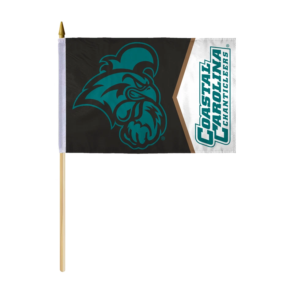 Bandera de escritorio de la Universidad de Carolina costera banderas de mano en palos Foto 1 de 1