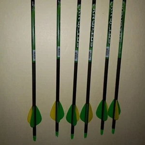 Allen Archery KRYPTOS 31 in. 50-70 Lbs 12 For $35 Doz - Picture 1 of 11