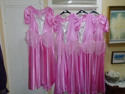 Cenicienta Niños Vestidos de Baile Edad 12 a 14 x 4 Usado Una Vez Foto 1 de 2