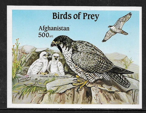 Afghanistan MNH Imperforated S/Sheet - Birds of Prey (007) Cover