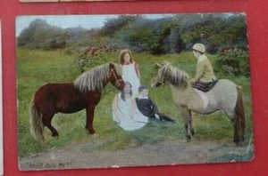 Postcard Who'll Race Me ? 2 Ponies Horse RP Commercial series - Bild 1 von 2
