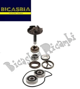 3726 - KIT REVISIONE POMPA ACQUA PIAGGIO 250 BEVERLY RST 2004 - 2005 - Imagen 1 de 1