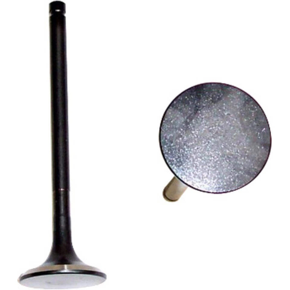 Válvula de escape EV970 DNJ para Lexus SC400 LS400 1990-1996 Foto 1 de 1