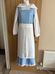 Dorothy Fancy Dress Outfit Size 10 - Picture 1 of 5