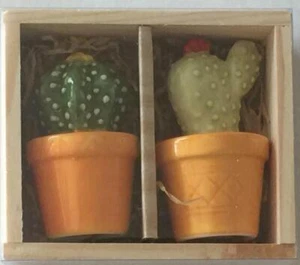 New In Box CACTUS Salt & Pepper Shakers - Picture 1 of 3