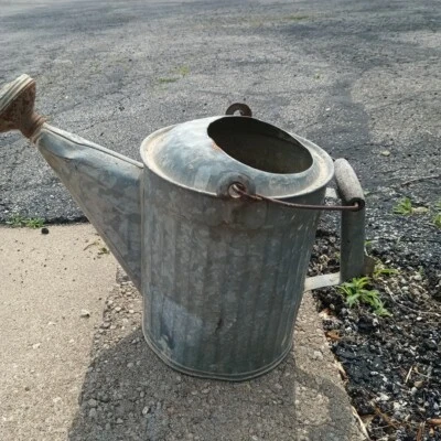 Regador galvanizado vintage decoração de jardim primitivo fazenda bico cabo de madeira - Imagem 1 de 4