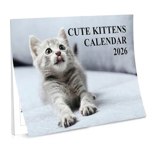 Calendario A4 Lindo Gatito 2026 Reino Unido 12 Meses para Ver Lindo Calendario 2026 Reino Unido A3 Cuándo - Imagen 1 de 5
