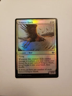 Tempest Hawk Tarkir: Dragonstorm Foil Bird - Image 1 of 2