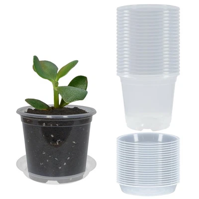 Прозрачные детские горшки с дренажом 3 дюйма упаковка 20 шт. и блюдца для растений упаковка 20 шт., пожалуйста... - Изображение 1 из 4