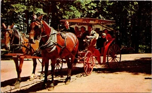 Postkarte Pferde und Kutsche - Mackinac Island Michigan - verschickt 1954 - Bild 1 von 2