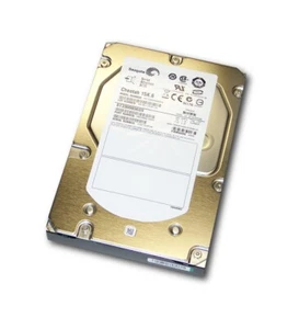 Seagate Cheetah 15K.6 ST3300656SS 300 GB NEW - Picture 1 of 1