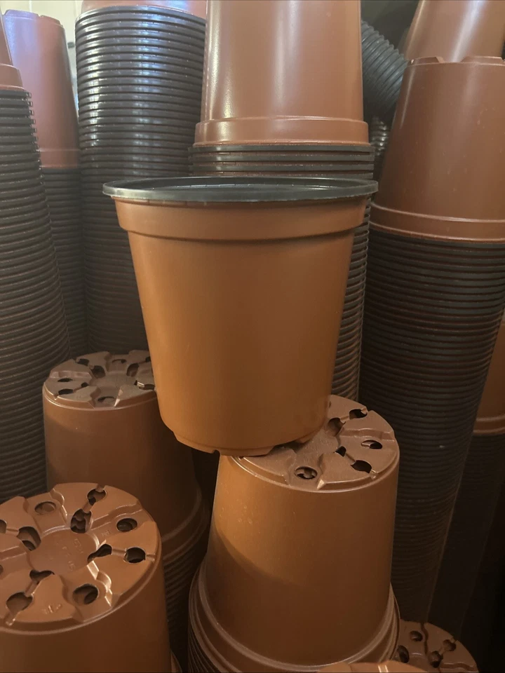 Macetas de plástico para vivero de 1 galón Trade 6" x 6" 5,10,25,50,100,250,500 Foto 1 de 1