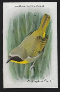 Northern Yellow Throat Arm Hammer Baking Soda Useful Birds Victorian Trade Card - Picture 1 of 2