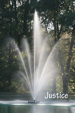 1 1/2HP Turtle Fountain Justice  Floating Lake and Pond Aerator w/Lights (USA)
