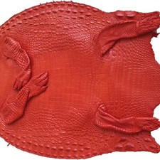 Red Genuine Crocodile Alligator Skin Leather Hide Exotic Pelt Taxidermy Craft