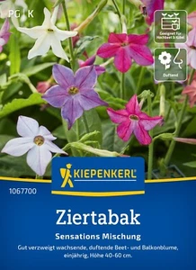 Ziertabak Sensationsmischung duftende Beet & Balkonblume ca. 150 Samen 1067700 - Bild 1 von 2