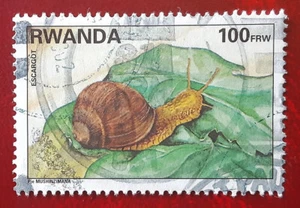 RWANDA 1995 100rf Used Snail Escargot Mi 1462A Scott 1386 XF 8445 - Picture 1 of 2