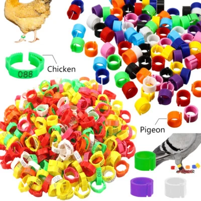 Anneaux de pied poussin canard oiseaux caille pigeons perroquets jambe clips anneaux - Photo 1/4