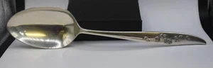 Heirloom Sterling Silver Oneida Young Love Serving Spoon - Picture 1 of 4