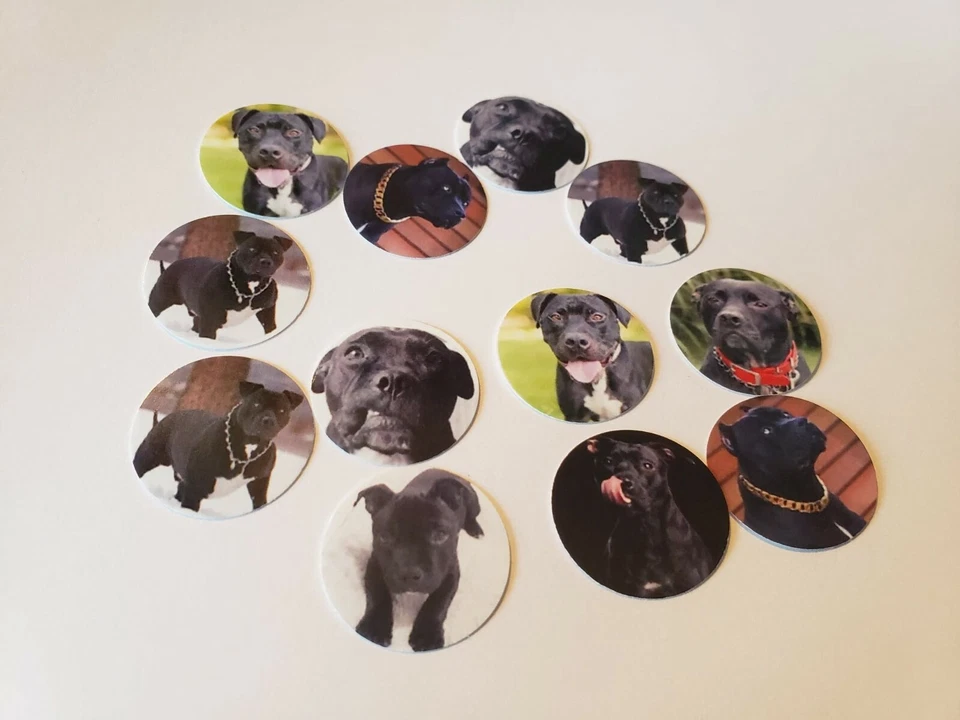 Imágenes de tapa de botella de una pulgada precortadas Pitbull negro Pit Bull perro envío gratuito Foto 1 de 1