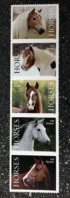 2024USA #5891-5895b Forever Horses - Strip 5 - Image 1 of 3