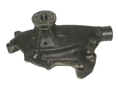 Puertas bomba de agua para camioneta Chevrolet K30 1968-1969, 1971-1972 93944RHPQ Foto 1 de 2
