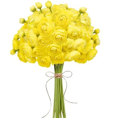 18Pcs Ranunculus Artificial Flowers Yellow Faux Silk Mini Peony Flowers Fake ... - Image 1 of 4