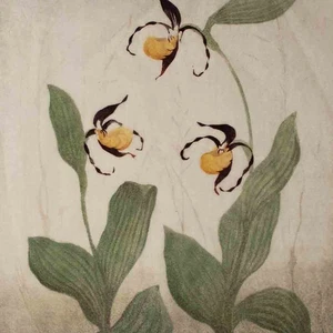 Frabholzschnitt Hans Ott Orchidee gelber Frauenschuh sign Japanpapier 1960 groß - Bild 1 von 5