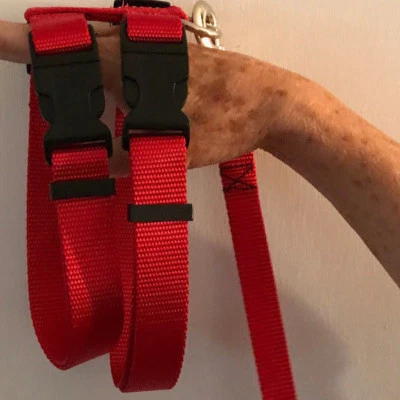 CARTER PET SUPPLY Adjustable Hog (PIG) Harness 2 Curved Buckles W/ Leash XS to XXX Super Tough