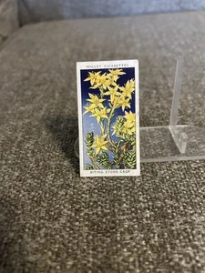 Wills’s Zigaretten Tabakkarte WD & HO Wills Wild Flowers #40 Beißstein-Ernte - Bild 1 von 2