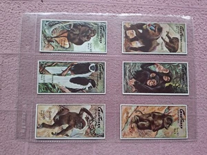 COMPLETE SET - GARTMANN - AFFEN (APES) serie 23 GD couple FR - Imagen 1 de 2