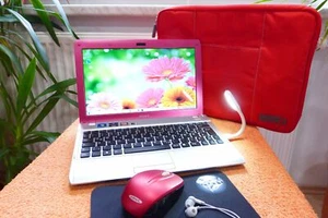 COME NUOVO I Sony Vaio YB Rosa Netbook l 11 pollici HD Netbook l Windows 10 l 500 GB I - Foto 1 di 8