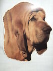 GRAND AUTOCOLLANT - motif chien tête  SAINT-HUBERT N° 3